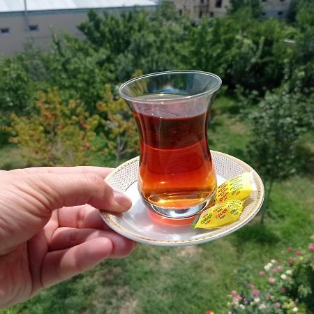 Bizim Ev Hostel Naftalan Esterno foto